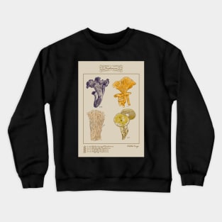 vintage illustration edible fungi Crewneck Sweatshirt